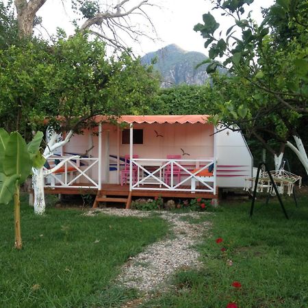 Bellerofon Caravan & Camping Çıralı Dış mekan fotoğraf