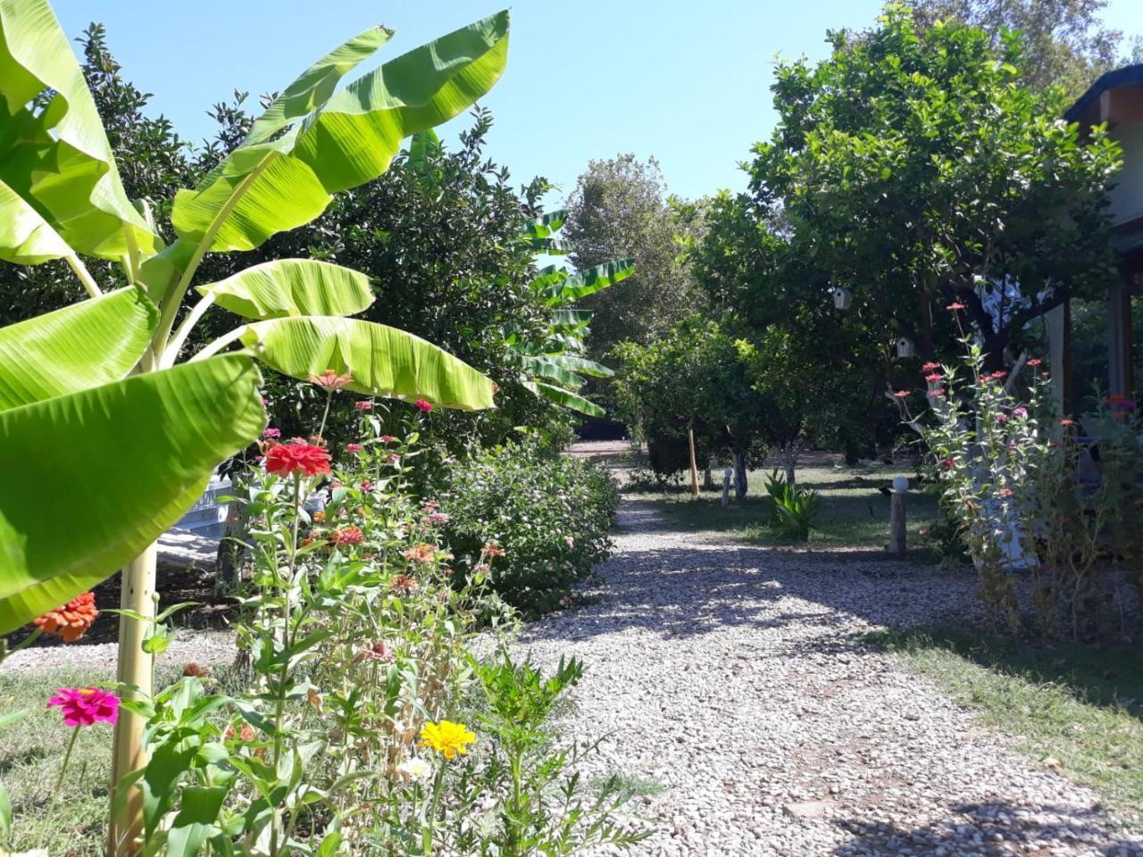Bellerofon Caravan & Camping Çıralı Dış mekan fotoğraf