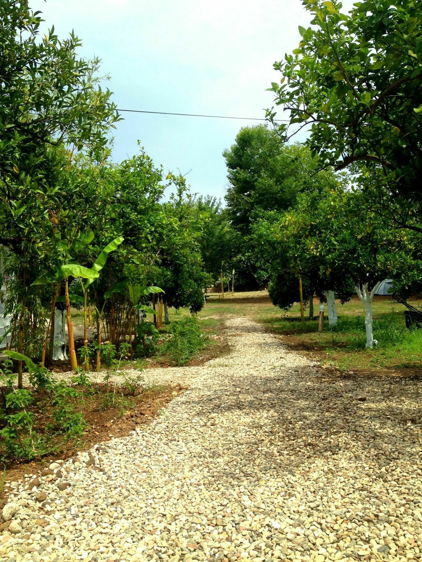 Bellerofon Caravan & Camping Çıralı Dış mekan fotoğraf